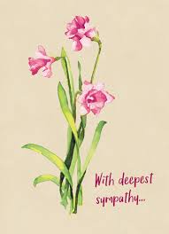 Maybe you would like to learn more about one of these? Sympathy Cards Funny Cards Free Postage Included