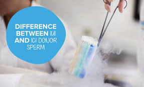 Iui Or Ici - What Is The Difference - Learn More Here.