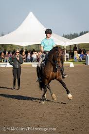 Charlotte dujardin held her first clinic in canada earlier this month, and psdressage.com was on the scene in surrey, bc, reporting live all the. Starting From Scratch Charlotte Dujardin On Buying And Training Young Horses Ps Dressage