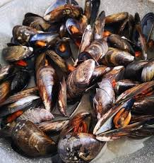 Eventi, seborga, u descu de chi. Spaghetti Con Le Cozze Alla Ligure Il Tigullio Com