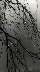 Pin By Nassim On In The Rain Ii Rain Wallpapers Dark Wallpaper Photography Wallpaper
