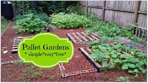 Pallet Gardens Simple Easy Free The Coastal Homestead Pallets Garden Pallet Garden Plants