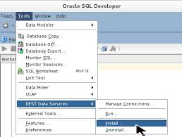 To uninstall sql developer, remove the entire sql developer installation directory (that is, the directory named sqldeveloper and all directories and files under it in the hierarchy). Installing And Administering Rest Data Services With Sql Developer