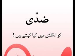 Ziddi Meaning In English Youtube
