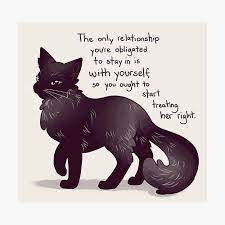 The Only Relationship You Re Obligated To Stay In Black Cat Photographic Print By Thelatestkate In 2021 Inspirational Animal Quotes Cute Animal Quotes Animal Quotes