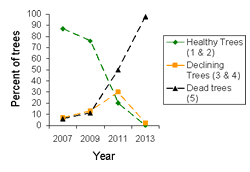 Predicting Ash Mortality Due To Emerald Ash Borer Emerald