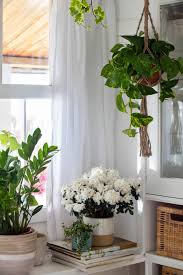 Lo primero que debemos evaluar al elegir las plantas es cuánta luz tiene el balcón. Plantas Colgantes Ideas Para Decorar Dentro Y Fuera De Casa Con Shopping