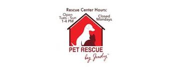 Finn tabby / mixed (short coat) search our website: Pet Rescue By Judy Logo Graffiti Junktion