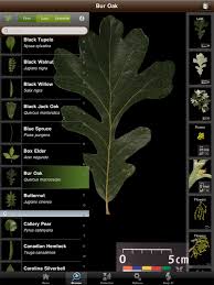 A Partnership Between The Smithsonian And Computer Scientists From Columbia And University Of Maryl Plant Identification App Plant Science Plant Identification