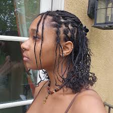 #Braidlocs