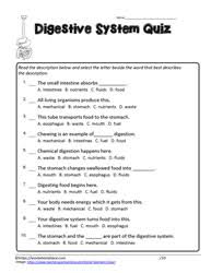 Alexander the great, isn't called great for no reason, as many know, he accomplished a lot in his short lifetime. Human Body Teaching Activities Worksheets