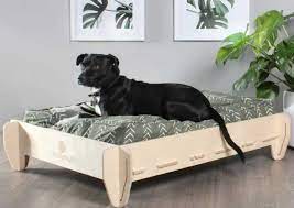 But the best elevated dog beds can be pretty great beds for the right dog. Wooden Elevated Dog Bed Frame Molly Mutt