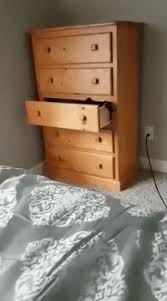 Here's a secret about drawers: A Clever Cat Skillfully Opens A Dresser Drawer Jumps In And Closes It From The Inside