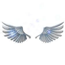Sparkling Angel Wings Wings Roblox Pictures Roblox Animation