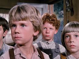 The Illustrated Little House