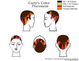 Carly S Color Hair Color Placement Hair Color Techniques Pinwheel Hair Color