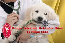 Ülkemizin de üyesi olduğu dünya veteriner hekimleri birliği, her yıl nisan ayının son cumartesi gününün dünya veteriner hekimler günü olarak kutlanmasını kararlaştırmış. Dunya Veteriner Hekimler Gunu 25 Nisan 2020 Veteriner Hekimlik Vetrehberi