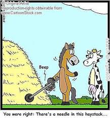 Keep in mind that you want a good clean signal normally in both directions of your sweep while in all metal mode. Metal Detectors Look And Feel Like Complex Technology For The Specialized Few All The Beeping And Bopping Creates The Idioms 6th Grade Reading English Idioms