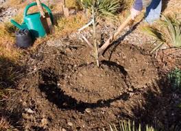 300 rue du large port bourgenay, 85440 talmont saint hilaire france. 3 Astuces Pour L Entretien Du Jardin A Saint Hilaire De Riez Rataud Votre Paysagiste A Saint Hilaire De Riez