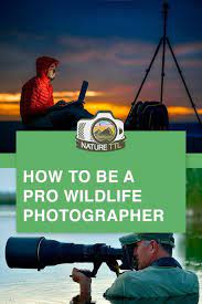 How To Be A Pro Wildlife Photographer Wildlife Photography Tips Digital Photography Lessons Amature Photography