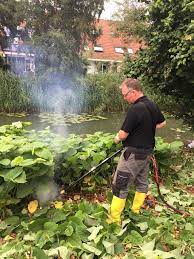 Check spelling or type a new query. Bestrijding Japanse Duizendknoop Door Elektrocutie Dolmans Landscaping