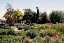 The Gardens At Perc And Old Ft Collins Landscaping Plants Plants Perennial Garden