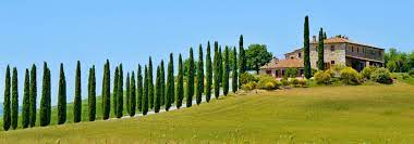 Ihr traumhaus zum kauf in toscana finden sie bei immobilienscout24. Immobilien In Der Toskana Toscana Landhauser Gmbh