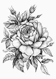 25 Beautiful Flower Drawing Ideas Inspiration Brighter Craft Rose Drawing Tattoo Beautiful Flower Drawings Flower Drawing