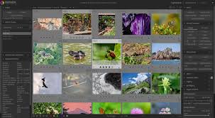After downloading raw image extension, you should install this raw photo viewer properly. Darktable