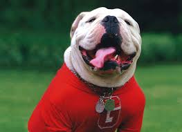 Georgia's first president, abraham baldwin, was a yale man and the early buildings on campus were designed from blueprints of the same building at yale. History Of Uga The Mascot University Of Georgia Athletics