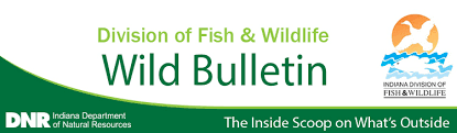 Turkey permits, 2021 spring season • spring turkey permits are allocated by lottery. Turkey Hunting Fishing Info And Nongame Wildlife