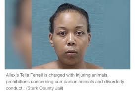 Ohio Woman Arrested for Allegedly Killing and Eating Cat in Front of  Neighbors