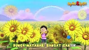 Dengan kelopak kuning cemerlang, juga dikenal sebagai sinar, bunga matahari, tidak salah lagi bunga matahari memiliki penampilan seperti matahari yang telah menjadikannya favorit. Lagu Upin Ipin Bunga Matahari Sangat Cantik Youtube