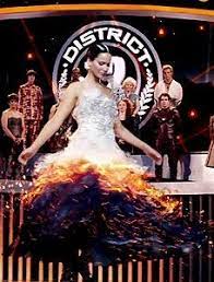 Piel De Gallina En Esta Escena Jennifer Lawrence The Hunger Games Catching Fire Hunger Games Hunger Games Movies Hunger Games Series