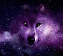 Anime Galaxy Wolf Wallpapers On Wallpaperdog