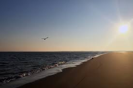 Samen trainen olv enthousiaste leraren, dat is het meer bewegen programma met voor ieder wat wils. Zeeland In Holland Kulinarische Reise Ans Meer Travel On Toast