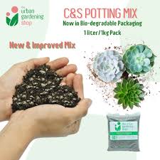 I would put a lot of perlite and try to realllly watch your. C S Soil Less Potting Mix 1 Liter Ideal For Cactus Succulents The Urban Gardening Shop Shopee Philippines
