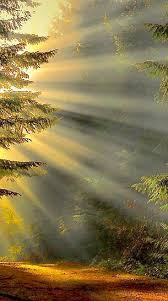я люблю дождь я люблю солнце и тебя я люблю Dobroe Utro Hazma Ya Tebya Lyublyu Nature Pictures Nature Nature Photography