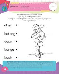 Hal tersebut merupakan salah satu contoh asumsi mengenai belajar anak. Soal Untuk Anak Tk B