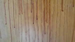Spray each cabinet liberally with the diy degreaser spray. How To Degrease Kitchen Cabinets Using Krud Kutter Youtube