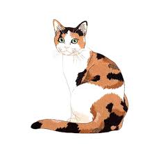 The images that existed in drawing of a calico cat are consisting of best images and high character pictures. Cat Embroidery Animal Embroidery Jan De Luz Linens