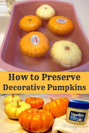 How To Preserve Decorative Pumpkins Make Your Decorative Gourds And Pumpkins Last All Season Long Fall Pumpkins Hallo Pumpkin Decorating Fall Deco Pumpkin