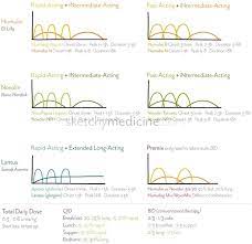 Insulin Regimens And Dosing Nursing Mnemonics Nursing School Prerequisites Best Nursing Schools