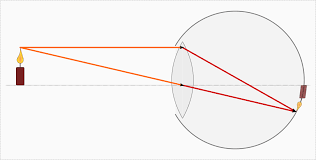 Jeder einzelne von unserer redaktion begrüßt sie als leser auf unserer schmuckstück seite. Optische Gerate Grundwissen Physik