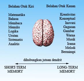 Pentingnya Keseimbangan Otak Kiri dan Kanan