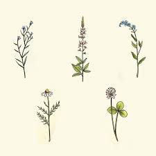 Small Wildflowers Tattoos Wildflower Tattoo Inspirational Tattoos