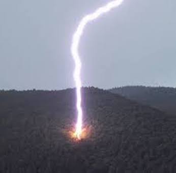 Bolts from the blue: lightning and forest fires