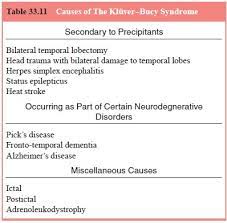 Kluver Bucy Syndrome