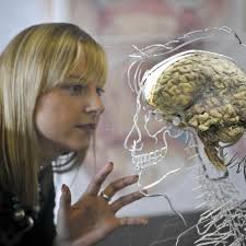 How 'men as default humans' threatens to undermine precision medicine