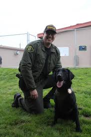 Santa maria valley humane society. Paws Claws Go To The Circus Raises 175k For Santa Maria Valley Humane Society Local News Lompocrecord Com